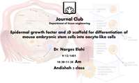epidermal growth factor and 3D scaffold for differantation of mouse embryonic stem cell in to oocyte-like cell